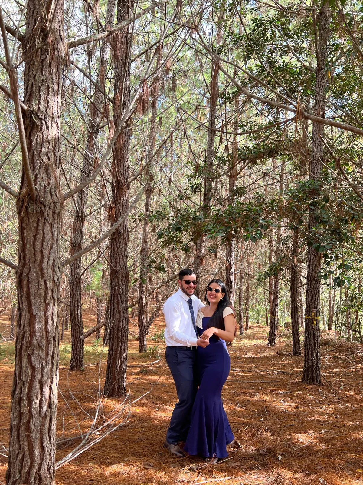La pareja con atuendo elegante en el bosque de pinos